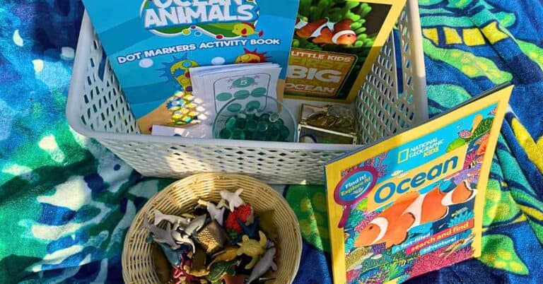 Ocean themed discovery box with learning activities for preschoolers