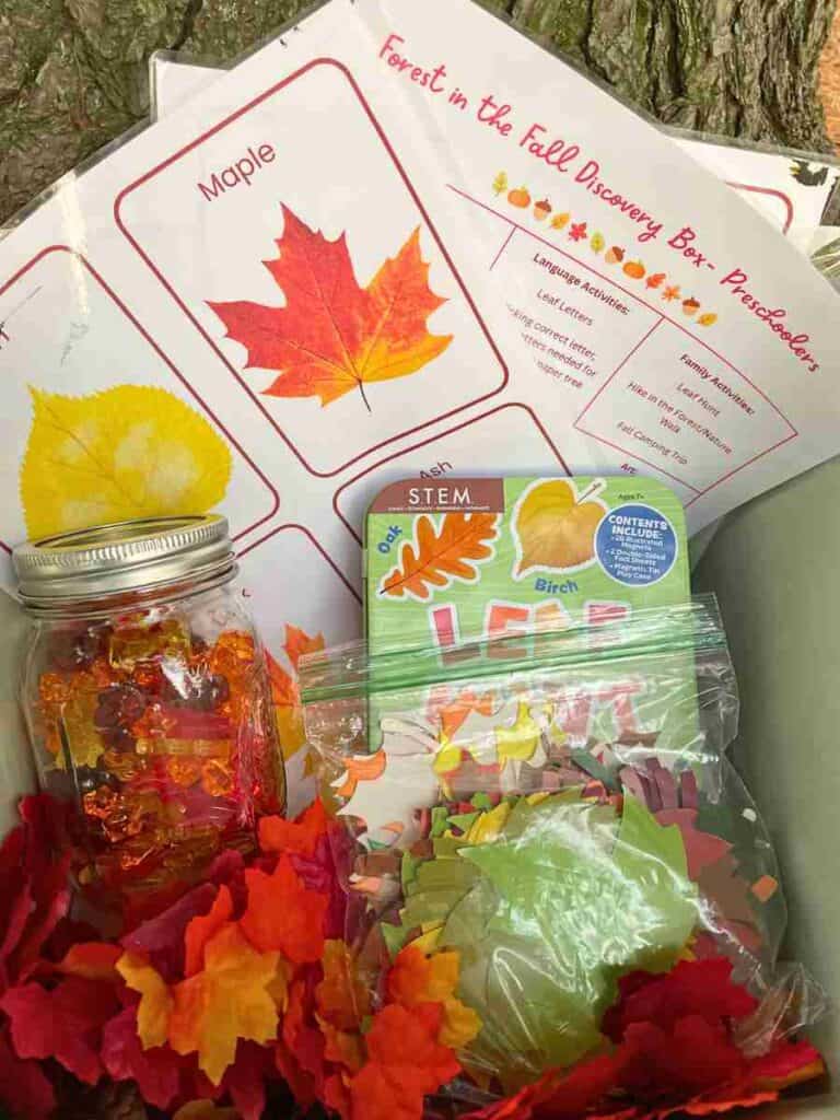 Fall themed discovery box for preschoolers