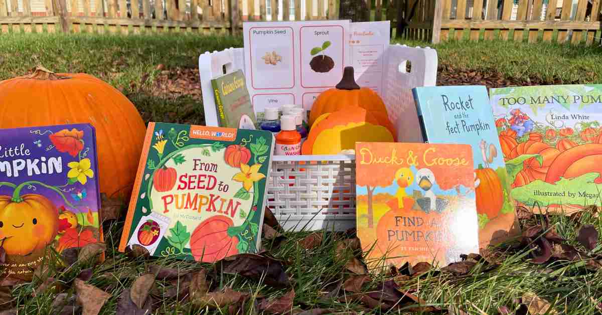 Pumpkin Discovery Box for Preschoolers