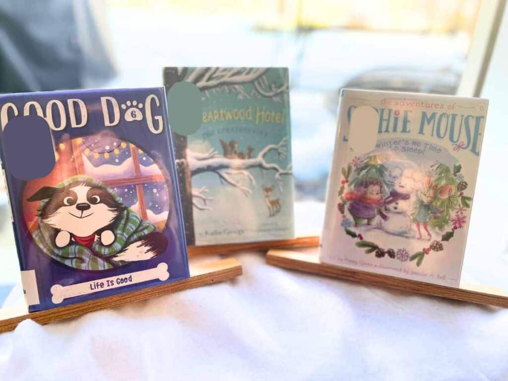 Chapter books about snow for preschoolers