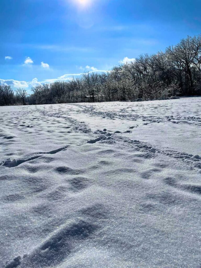 winter outdoor activities for preschoolers- footprints to follow in the snow