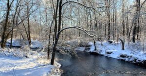 outdoor winter activities for preschooler- winter hike