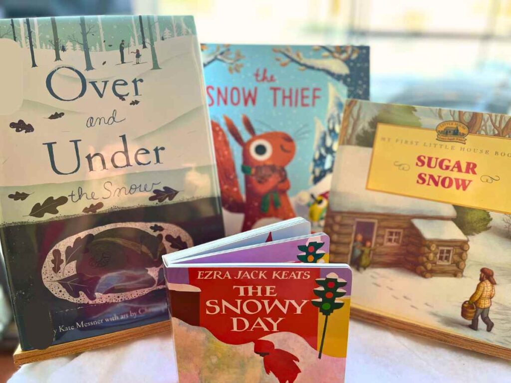 snow picture books for preschoolers