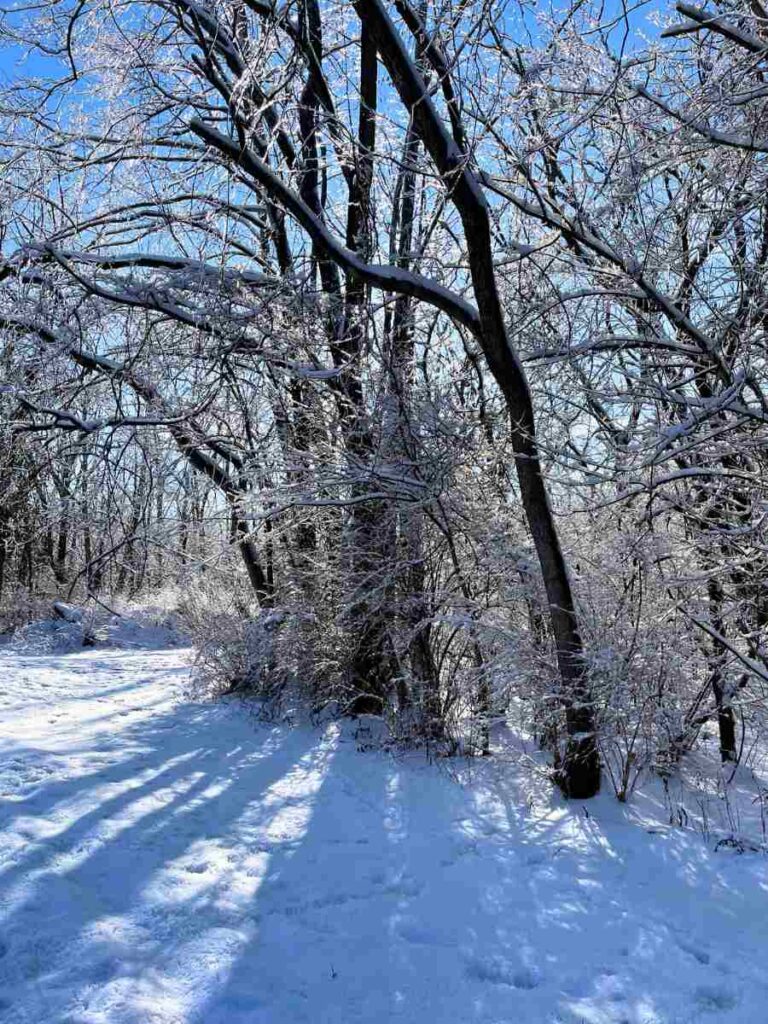 winter hike with a preschooler
