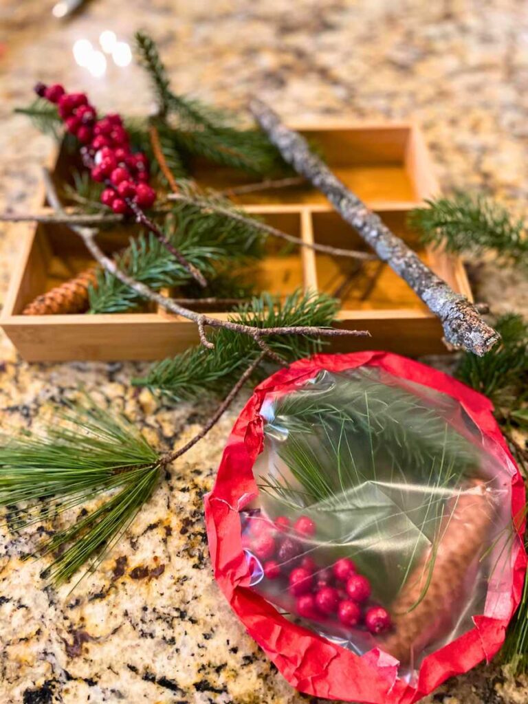 a winter suncather for preschoolers made with items found on a nature walk- 