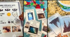 cave preschool unit collection of activities