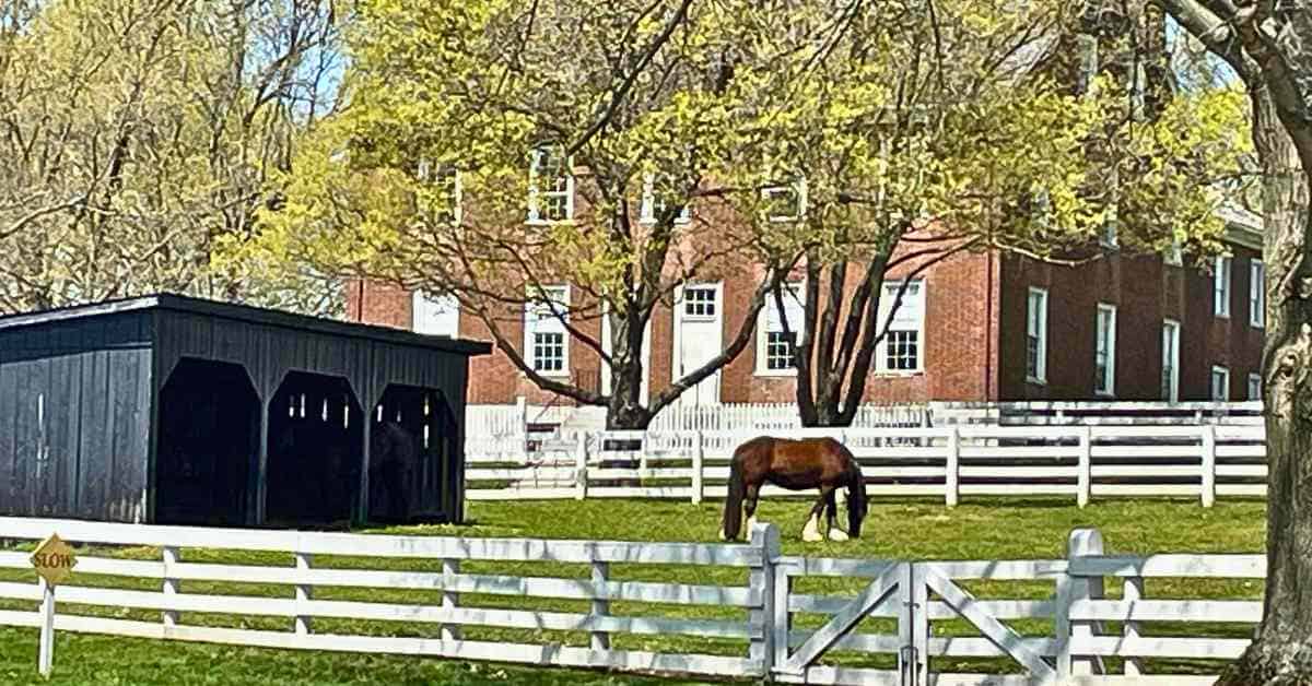 Family Fun in Central Kentucky