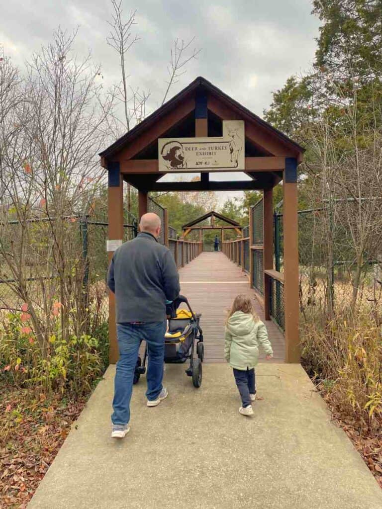 preschooler exploring Salato Wildlife Center in Frankfort, KY