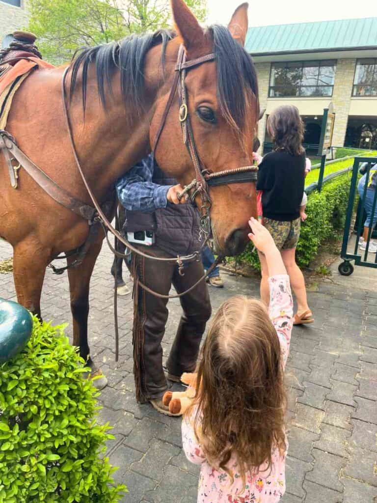 preschooler meeting a horse at Keenland, Lexington, KY