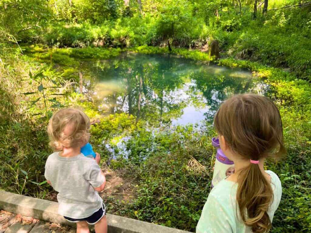the springs at McConnell Springs in Lexington, KY