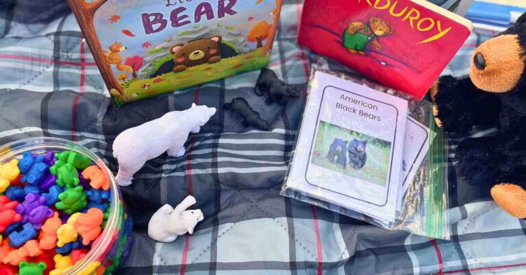 Bear Themed Preschool Activities