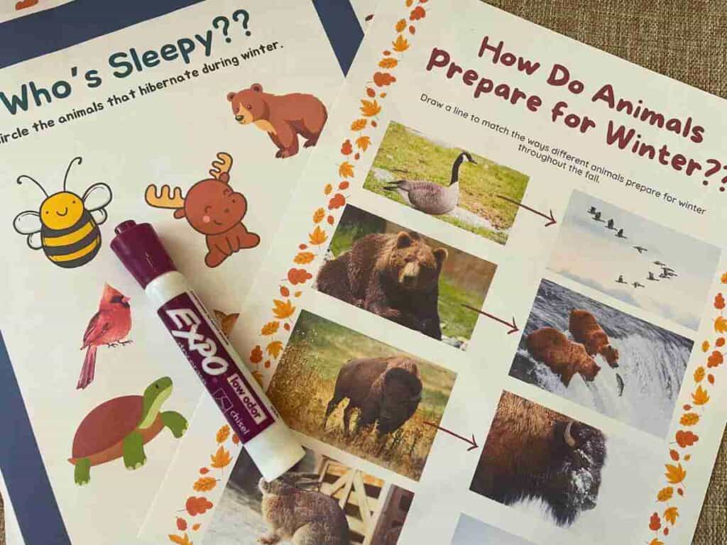 Forest in the fall preschool worksheets