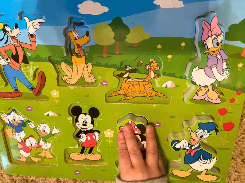 Chunky Toddler Puzzle