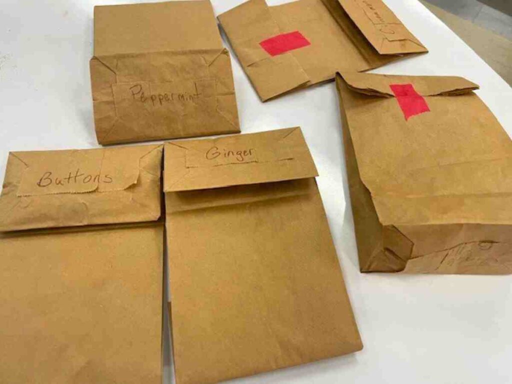 Christmas sensory bags Montessori activity 