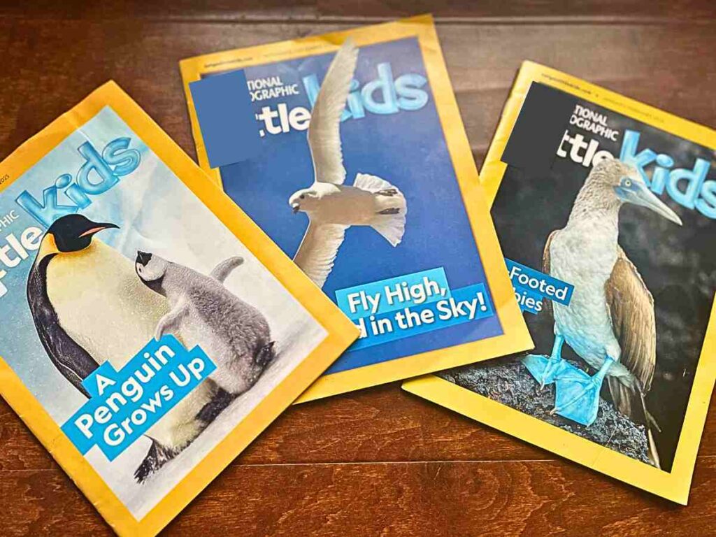 National Geographic Little Kids magazine for little kids