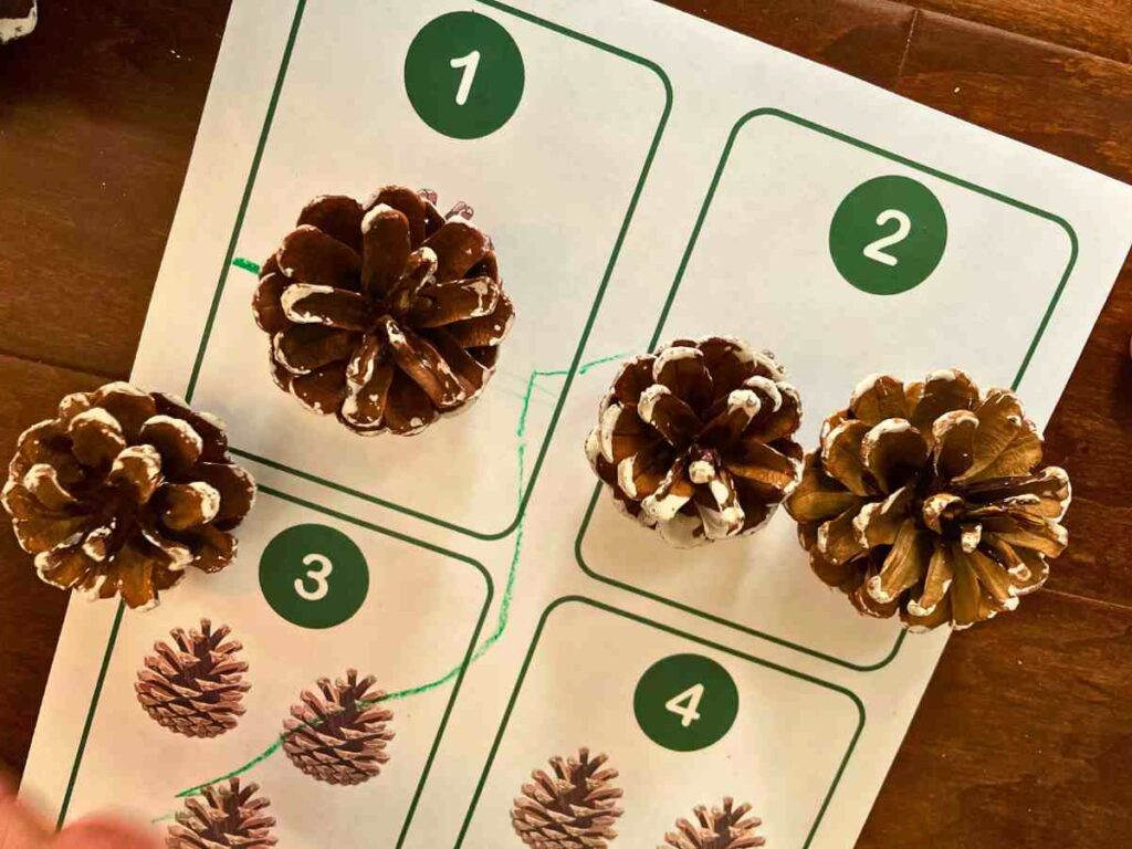 Pinecone counting card toddler activity