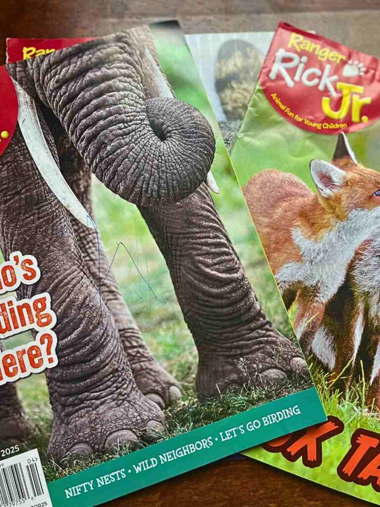 Ranger Rick Jr. Magazine for preschoolers
