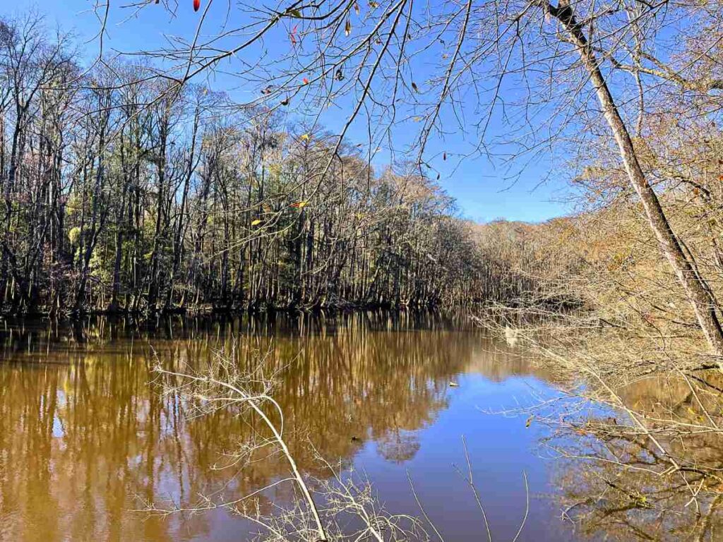 Congaree River
