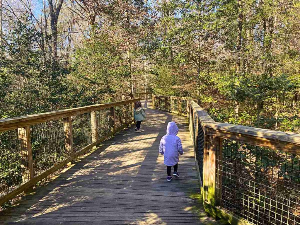 Kids running on a boardwalk at Congaree National Park