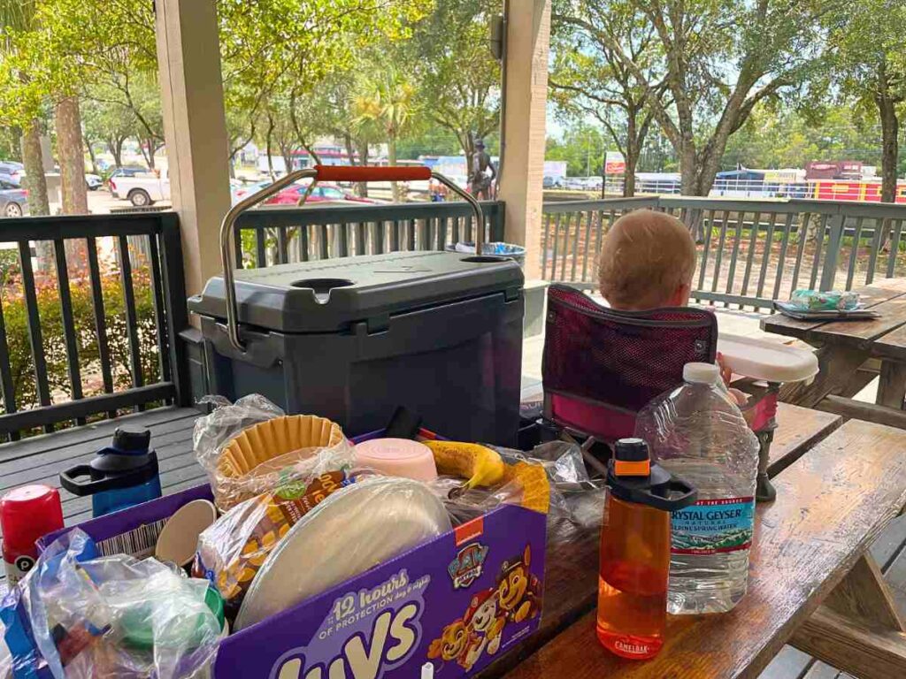 baby on a road trip picnic
