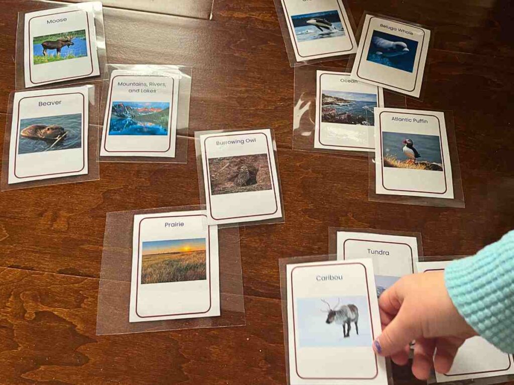 Sorting animals of Canada by biome printable activity for preschoolers