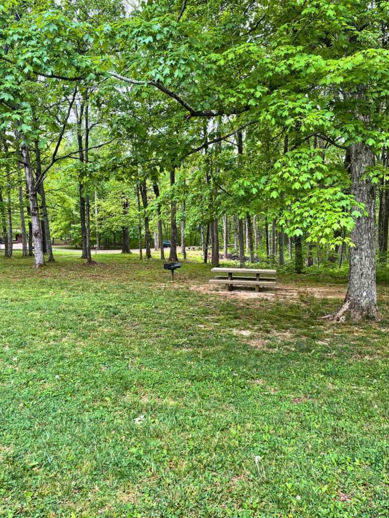 wooded picnic grounds at Mammoth Cave National Park