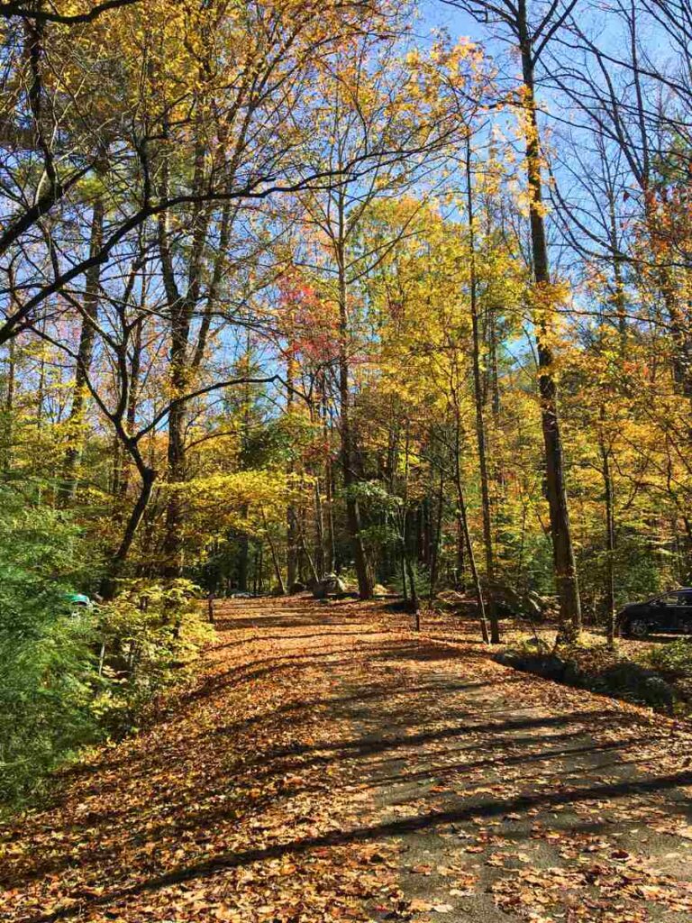 Elkmont Campground in the fall