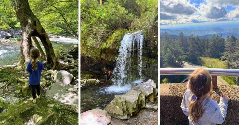 Great Smoky Mountains National Park with Kids