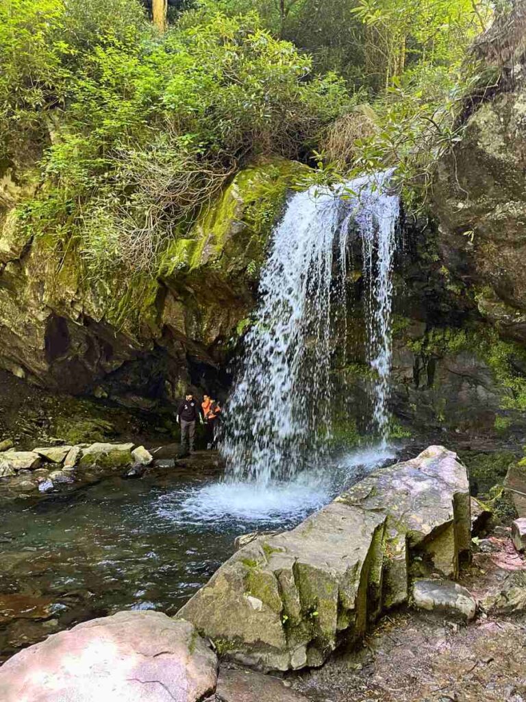 Grotto Falls in the Great Smoky Mountains National Park