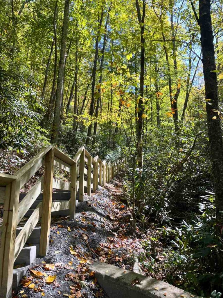 Steps leading up to Mingo Falls in Cherokee, NC