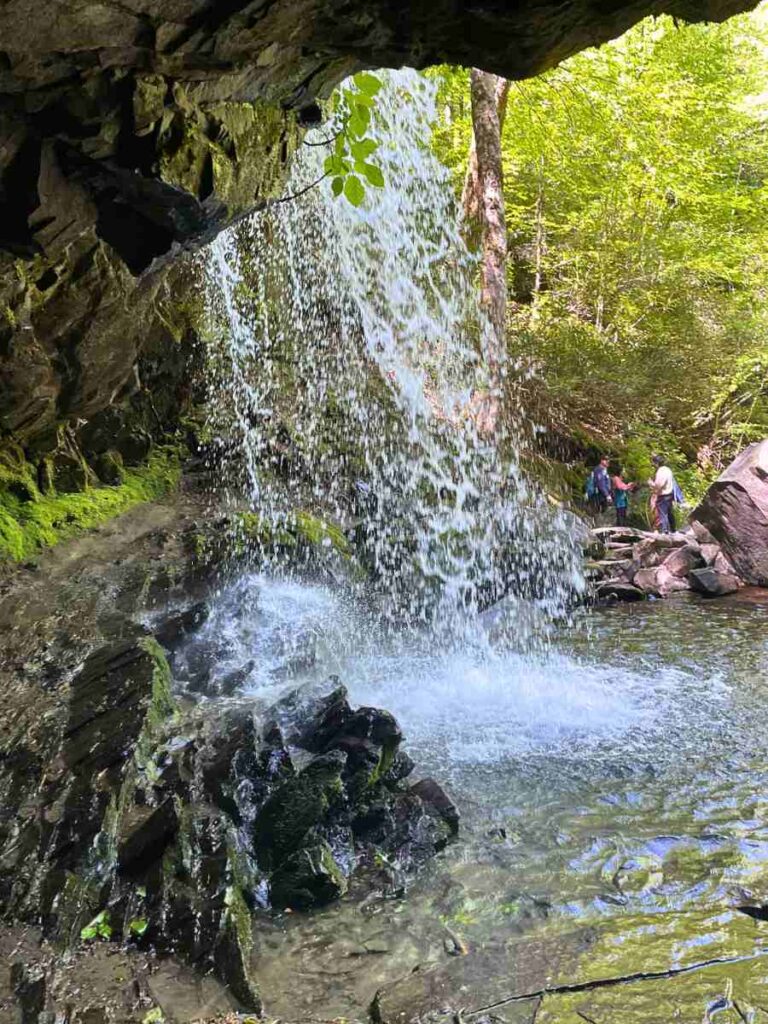 View from behind Grotto Falls in the Great Smoky Mountains National Park