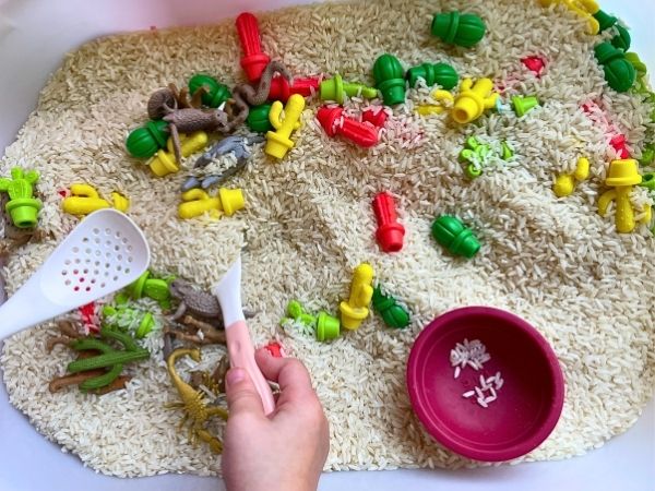 Desert Themed Sensory BIn
