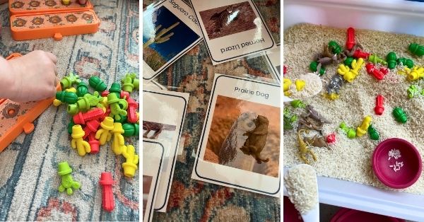Desert Theme Activities for Preschoolers and Primary Students