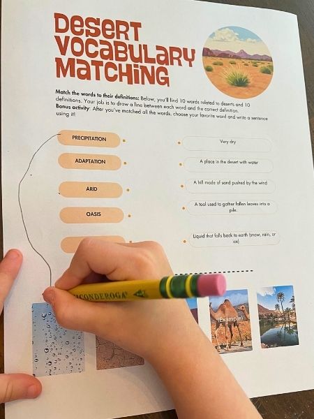 Desert Vocabulary Activity for Preschoolers and Lower Primary Students