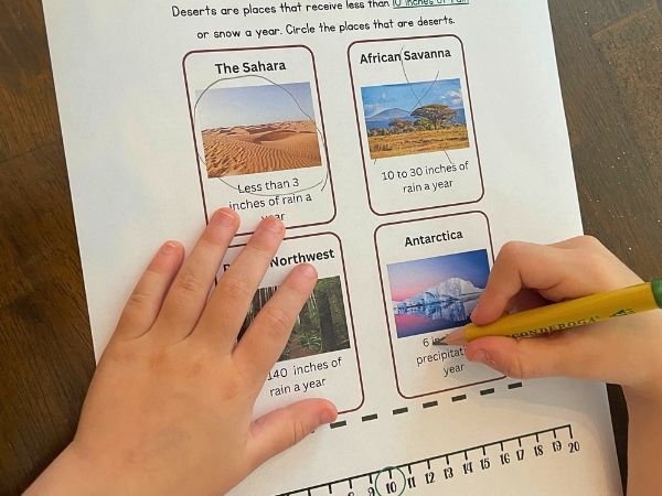 Is it a Desert Preschool and Primary Activity