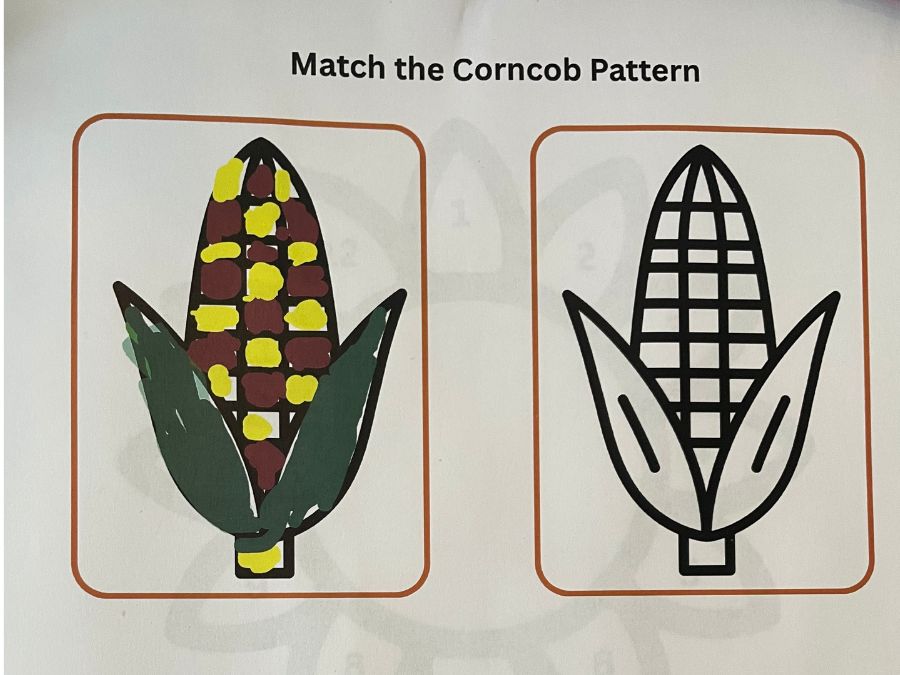 Match the corncob pattern preview